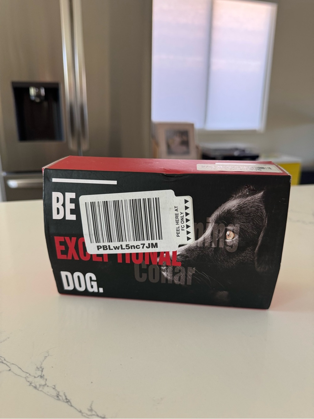 Dog Training Collar